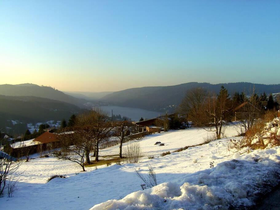 Gerardmer Centre - Studio Au Pied Du Lac Grande Terrasse Eksteriør billede